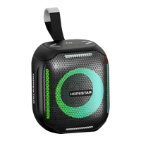 Компактна портативна Bluetooth-колонка Hopestar Party 300 Mini Чорний