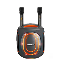 Портативная колонка Hopestar Party Box 600 300W Серый