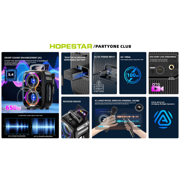 Беспроводная портативная колонка Hopestar Party One Club 650W Синий