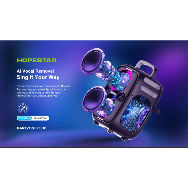 Беспроводная портативная колонка Hopestar Party One Club 650W Черная